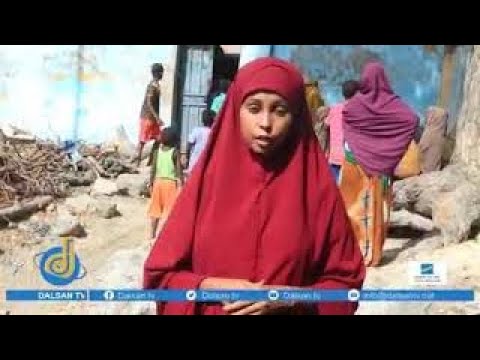 Khasaaro Dhimasho Iyo Dhaawac ah Ayaa Ka dhashay Madaafiicdii Maanta Ku Dhacday Warta Nabadda.