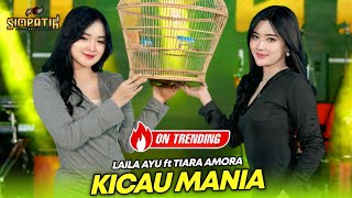 Download lagu KICAU MANIA - LAILA AYU ft TIARA AMORA - SIMPATIK MUSIC mp3