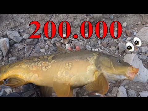 Carp Fishing with Float - Float Fishing For Carp Fishing-1