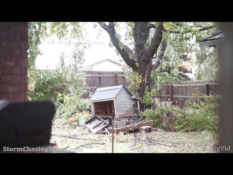 Ice Storm takes down tree branches in Oklahoma City, OK - 10/26/2020