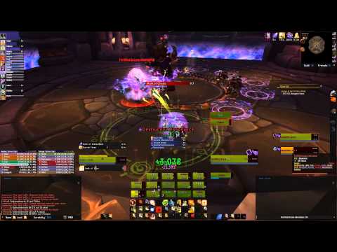 Revival of the Fittest vs. Imperator Mar'gok Heroic Holy Paladin POV