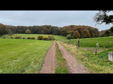 Wandelen langs de Moezel - Moselsteig etappe 1 - Perl-Palzem