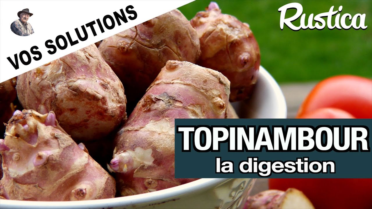 Comment bien digérer le topinambour 