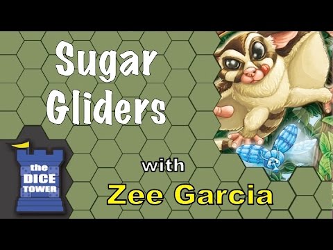 Sugar Gliders Review - with Zee Garcia
