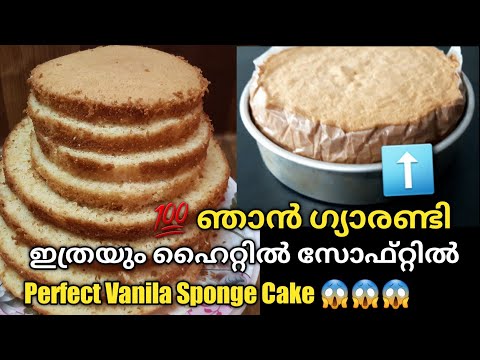 💯ഞാൻ ഗ്യാരണ്ടി 😱😱 No Oven Vanila Sponge Cake | Free  Baking Class | Basic Sponge Cake Recipe #Cake
