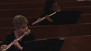 Southern Crescent Symphony Orchestra & Clayton State Orchestra Concert (3-22-2021)