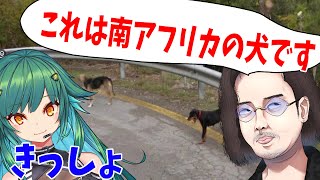 KUN、犬で国を特定してにじさんじ所属Vtuber北小路ヒスイをドン引きさせる - GeoGuessr
