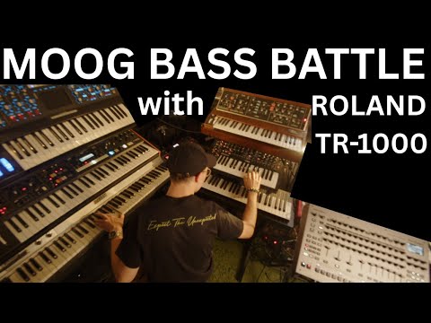 Moog Bass Battle with Roland TR 1000 feat Dobbie
