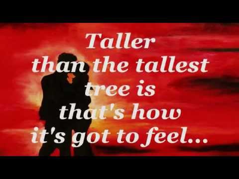 ALL THE WAY (Lyrics) - CELINE DION with FRANK SINATRA