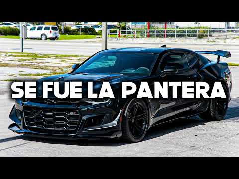 Grupo Recluta - Se Fue La Pantera