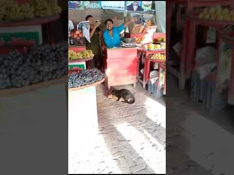 BILA AND BILLI HAVE Fun 🤘🤣