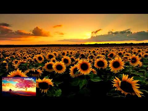 Steve Allen - #TranceFamilia (Estigma Extended Remix)