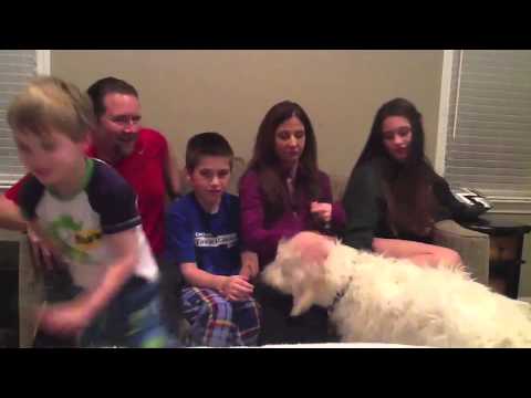 Happy Birthday to Ronit Ohayon