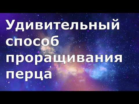 439. Удивительный способ проращивания перца
