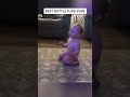 The Greatest Bottle Flips Of All Time