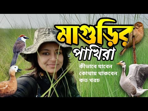 আসামের মাগুরি বিল যাবেন কীভাবে, কত খরচ | Birds of Maguri Beel | Birdwatching at Maguri, Assam