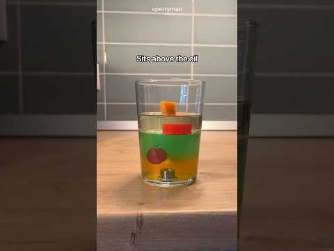 Liquid Density Experiment (With Objects)