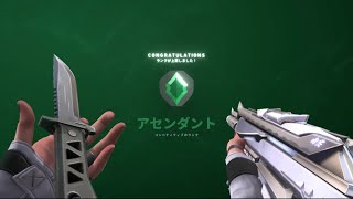 【Valorant】NosideQuartzVA2TAS×2WORLDS // Madge x VALORANT - Official Audio　＃VALORAN　#shorts #2WORLDS