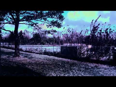 Seagull Hazard - Wind (Audio)