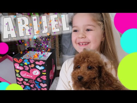 Arija otkriva iznenadjene godine! Upoznajte ARIJEL CANDY QUEEN!