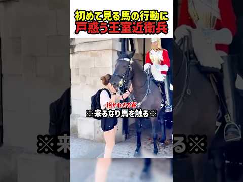 【驚き】初めて見る馬の行動に戸惑う王室近衛兵　#馬 #王室 #近衛兵 #警備 #優しさ #育ての親 #飼育士 #動物と人の絆 #美女