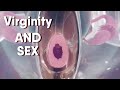 Virginity And Hymen Can You Confirm A Person S Virginity By Looking At Their Hymen What Do You Think