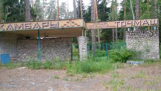 Базы отдыха Сосновый Бор владимирская область