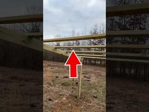 Build a Small Barn or Shed in a Day! Easy DIY Homesteading Project 🛠️🏡