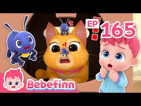 🐜 The Little Tiny AntsㅣEP165ㅣSong for KidsㅣBebefinn Nursery Rhymes