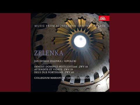 Immisit Dominus pestilentiam, ZWV 58 - Clamate, guttae sanguinis (Recitativo accompagnato,...