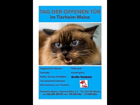Tierheim Mainz