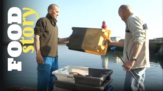 Thumbnail del capítulo