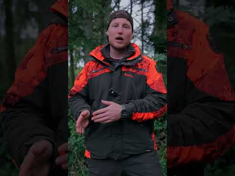 Rehwild im Jahresverlauf – Vom Setzen der Kitze bis zur Blattzeit 🦌🌿 - Frag den Jäger