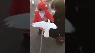Самые смешные видео (подборки)
