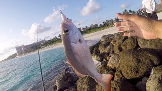 Saltwater Fishing gets me HYPED!!! Beach Fishing in the Bahamas