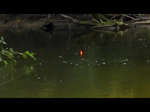 SALMON CAMP!! Float Fishing for King Salmon (Bobber Downs)