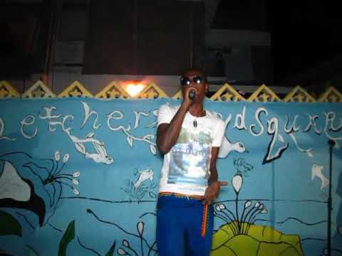 Don Husky at fletchers land stage show 2017