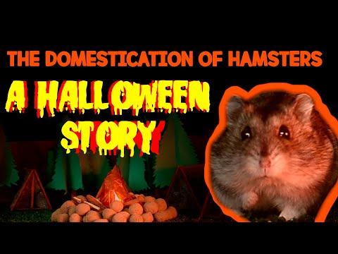 How We Domesticated Hamsters | Hamster Origin Story - Halloween Edition!