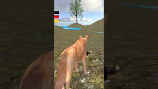Wolf Simulator Forest Hunt 3D  Walkthrough Game #Shorts