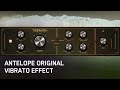 Video 1: Overview
