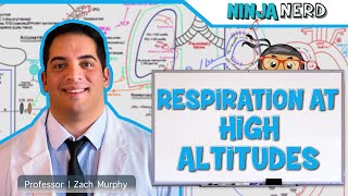 Respiratory | Respiration at High Altitudes
