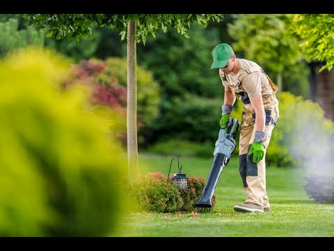 Rob24.pl Sp. z o.o. - video