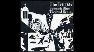 THE TRIFFIDS (1st John Peel Session 1984)