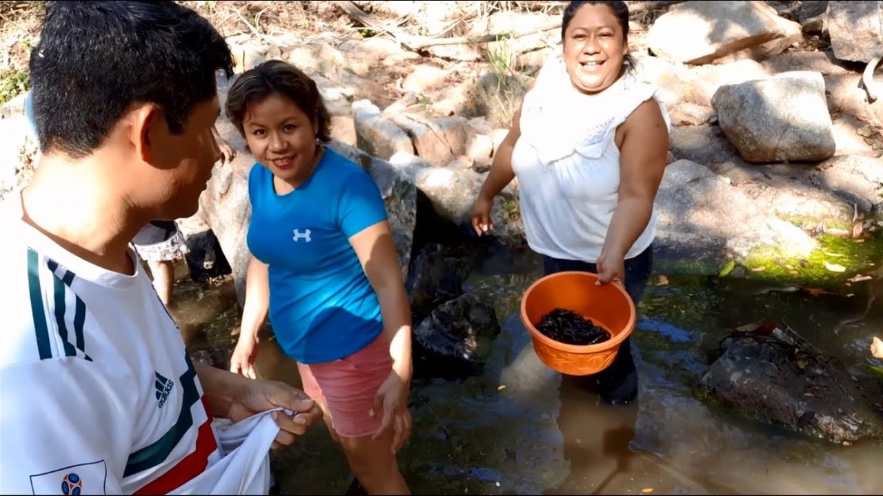 Recogiendo Caracol de Río o Shuti en algún lugar de Chiapas