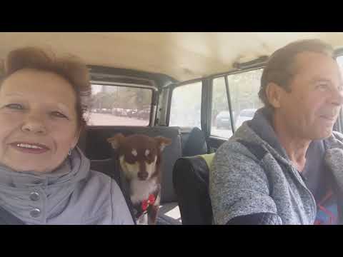 По просьбе нашей подписчицы Галины едем с Малышом искать дом 53 по ул. ПАНФИЛОВА.