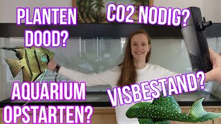 TOP 10 AQUARIUMVRAGEN! wordt WEGWIJS in de HOBBY! //Nickey//