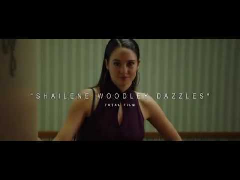 White Bird in a Blizzard