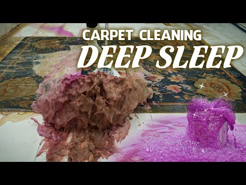 CARPET CLEANING FOR SLEEP: You Won't Stay Awake! 8 Hour Rug Cleaning Compilation for Sleep