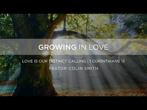 Contemporary | Love Is Our Distinct Calling | Colin Smith | The Orchard Arlington Heights