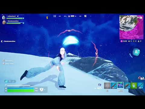 Gameplay with the Pookii